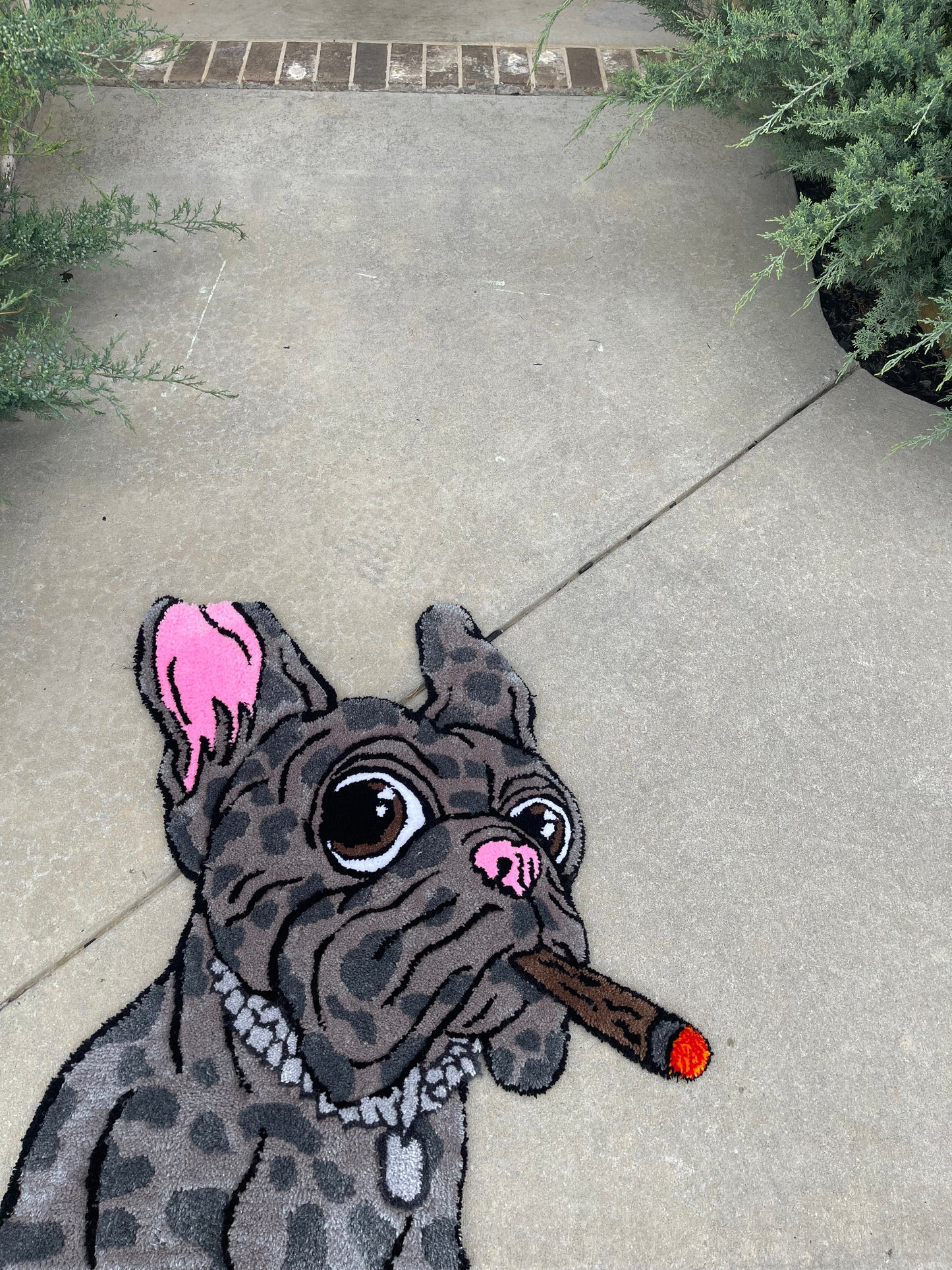 Frenchie Merle